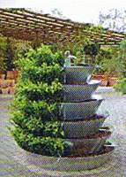 Coloniflor forme ronde